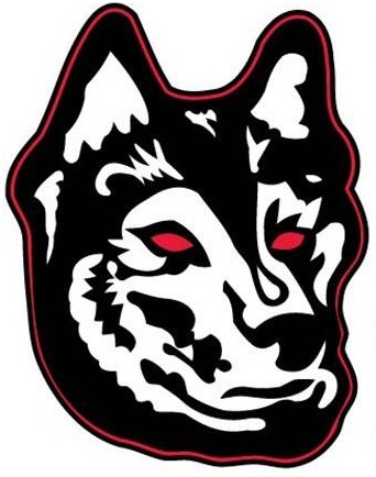Northeastern Huskies 2007-Pres Alternate Logo v2 iron on transfers for clothing